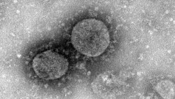 Откуда появился коронавирус, чем он опасен, и как от него защититься?