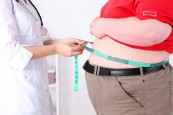 Ученые выделили механизмы развития ожирения