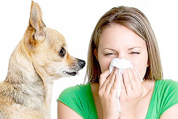 Тест на аллергию в домашних условиях