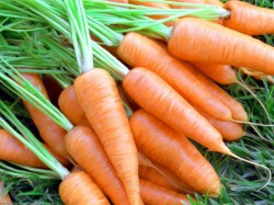 Морковь – это здоровье