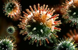 Больше половины омичей считают, что коронавирус создан искусственно