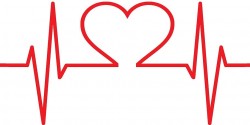 Врач: здоровое сердце можно определить по нескольким признакам