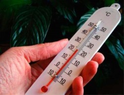 Эксперт призывает поддерживать дома и в офисе относительно низкую температуру
