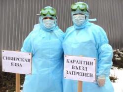 В России выявили случаи сибирской язвы